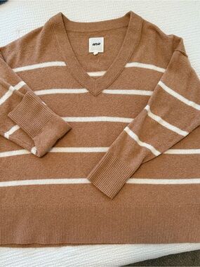 aerie Women's V-Neck Striped Sweater - Brown and White